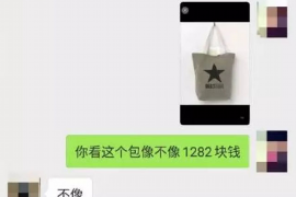 夷陵夷陵专业催债公司，专业催收